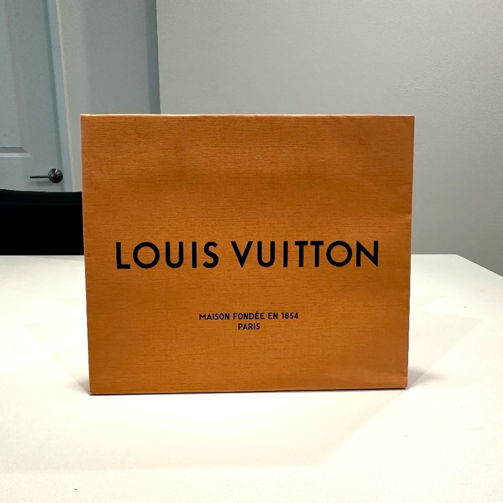 Authentic Louis Vuitton shopping bag